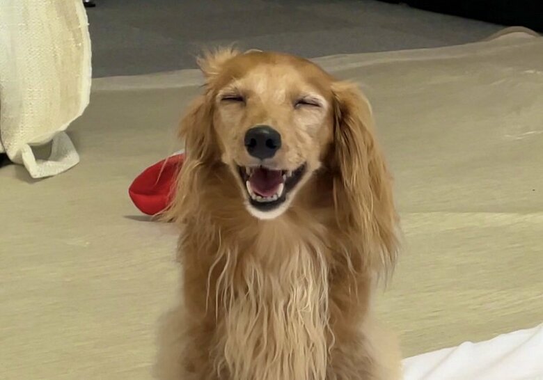 笑顔の理事長ちゃん