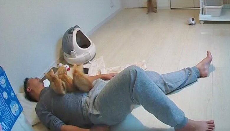 提供：oimo & yuzukiさん