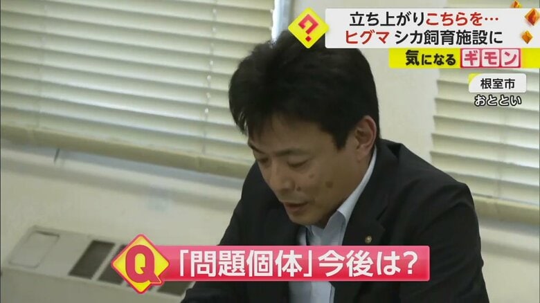 根室市は、ヒグマを問題個体と判断した
