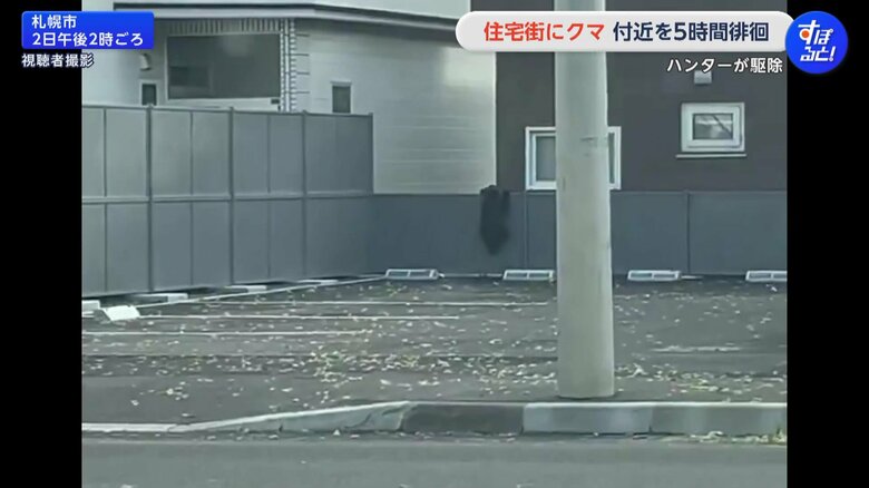 札幌市南区の住宅街に、2日午前11時半ごろから体長70cmほどの子グマ1頭が出没