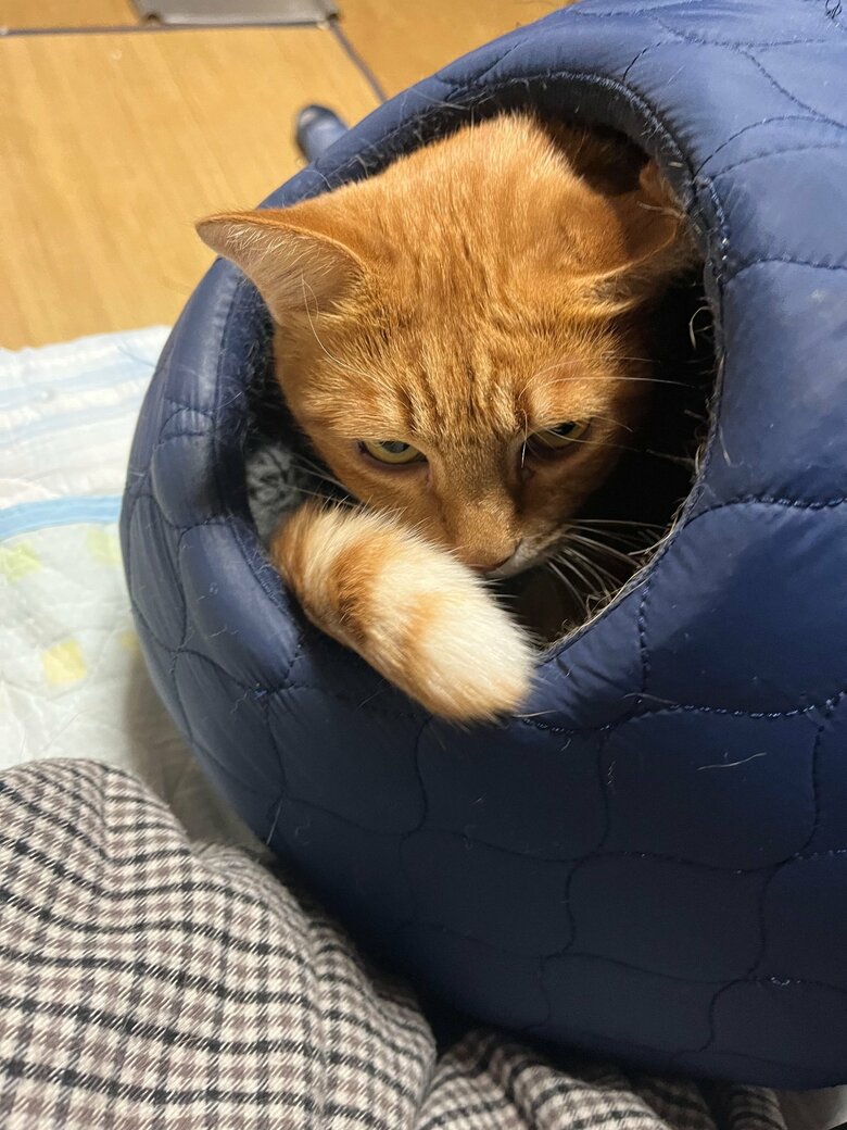 成長して表情にも迫力が出た