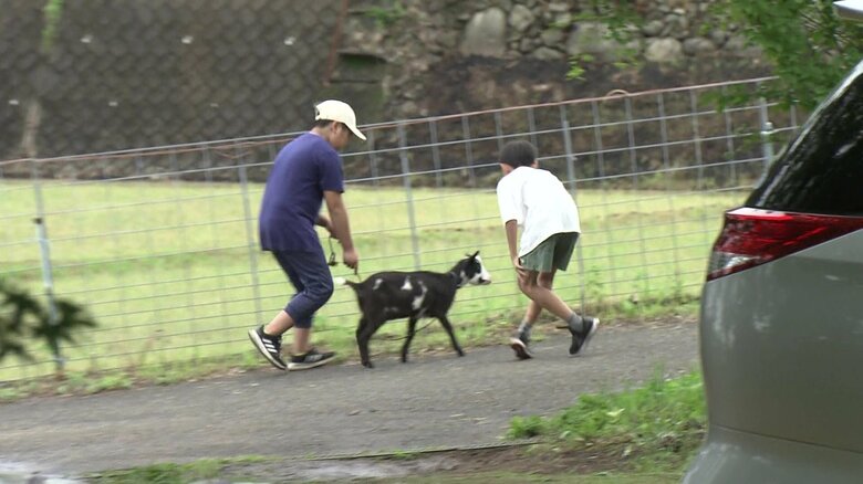 子ヤギのパンちゃんを移動させようと試行錯誤