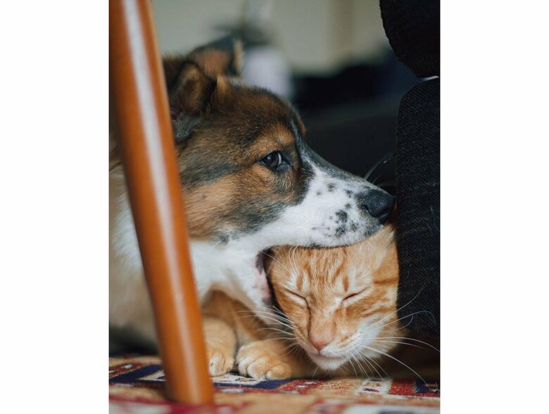 提供：naomiさん