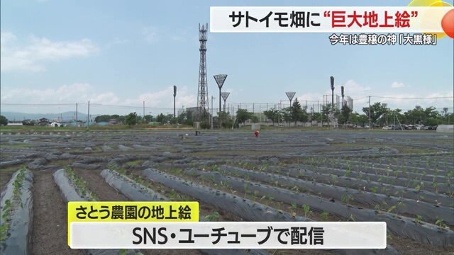 過去の地上絵・さとう農園の取り組みはユーチューブチャンネル「さといもやさとう農園株式会社」で