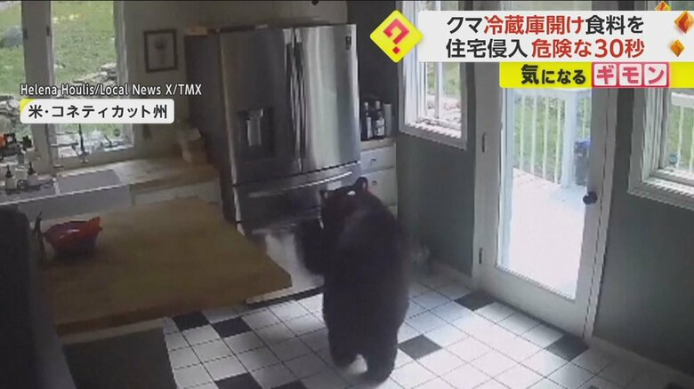 クマが冷蔵庫を器用に開け、食べ物をくわえる様子③