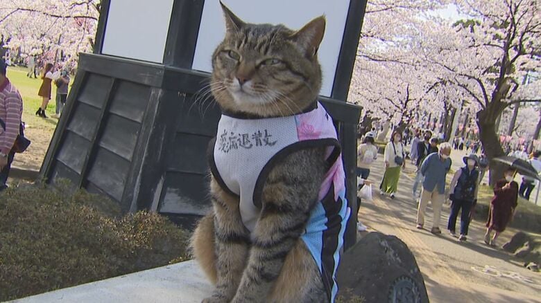 花見客に囲まれポーズ