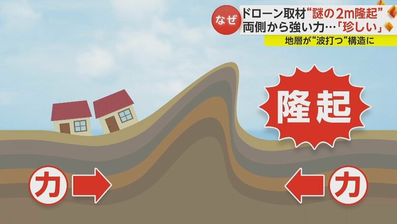 この辺りの地層は「褶曲」という波打っているような構造で、地震により両側から強い力で押され隆起したか