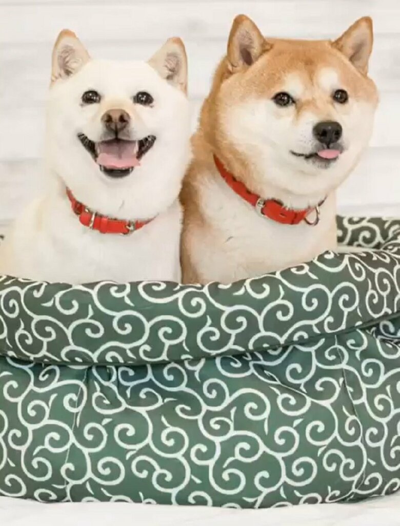 とても仲良しな夫婦