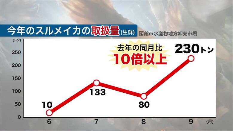2025年のスルメイカの取扱量