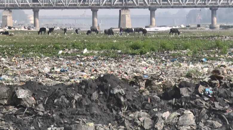 河川敷に流れ着いたプラスチックごみ