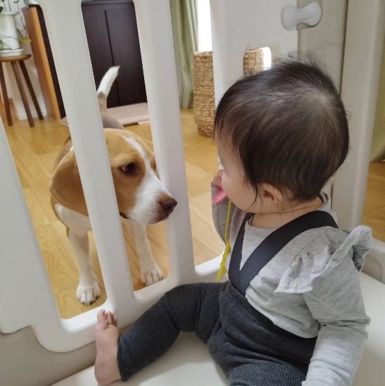 娘さんのことを気にかけているじゃこちゃん