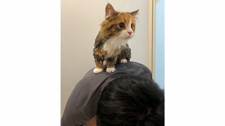 初めてお風呂に入れた時の様子　「何するの？」といった表情