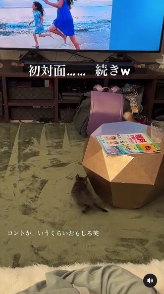 提供：たーにゃ。さん