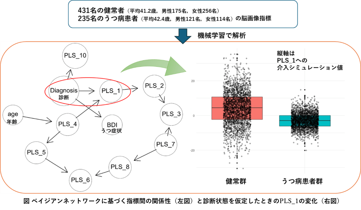 うつ病診断と脳機能結合の潜在的な関係構造が明らかに―機械学習を用