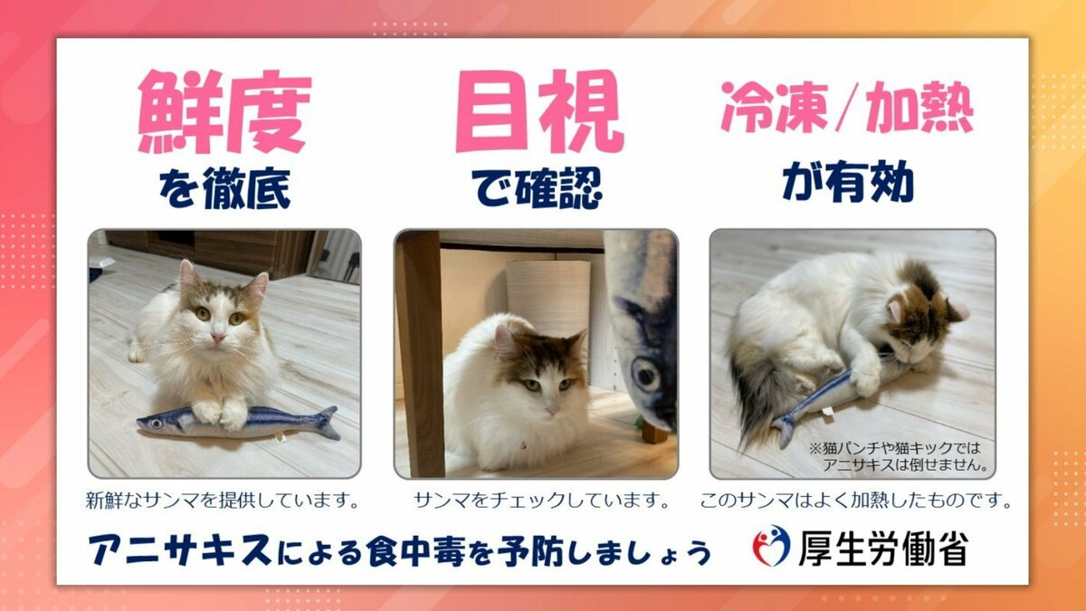 猫パンチでは倒せません」アニサキスによる食中毒を“猫”が注意喚起 厚