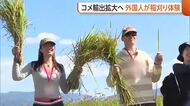 「おいしさ広めたい」新潟県産米の“輸出”拡大へ！外国人が稲刈りやおにぎり作りを体験「コメへの感謝深くなった」