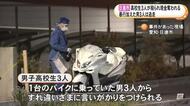 バイクの男3人から言いがかり…高校生3人が殴られケガ「タイマン張るか金払うか」と脅され現金も奪われる