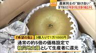 仲間の支えで一歩前へ　震度7を耐えた氷川町の吉野梨　“希望の梨”で広がる支援【令和８年熊本地震】