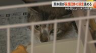 「悲劇的な結果にとても残念」保護ネコ活動の女性宅でネコの大量死に熊本県が『登録譲受団体』を調査　管轄する熊本市とも連携