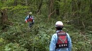 山中で作業中に70m下に滑落　70代男性救助もその場で死亡確認　当時の詳しい状況不明　警察が捜査　宮城・仙台市