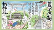 「鳥居をくぐったら心が整います！」御朱印コレクター必見の橘神社で体験する心身浄化の旅【雲仙市千々石町・橘神社】