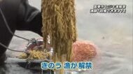 県内有数の天然のヒジキの産地　国見町で漁解禁　漁師も太鼓判「いい味がする、日本一」大分県国東市