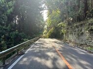 【速報】林道に複数の倒木　通行止め続く　仙台市太白区