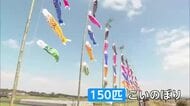150匹のこいのぼり　都城市庄内川の堤防を悠々と泳ぐ