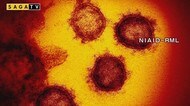 【続報】佐賀県の陽性確認14人に 17日