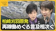 小池都知事も原発再稼働に言及…“エネルギーの大消費地”東京で再稼働めぐる発言相次ぐ｢日本全体の発展に…｣