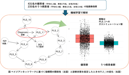 うつ病診断と脳機能結合の潜在的な関係構造が明らかに―機械学習を用いた大規模データ分析による新たな知見―