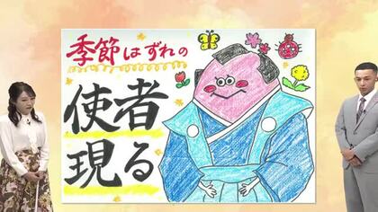 １１月２５日（火）宮崎の天気「 雨のち黄砂 心配な方はマスクを」