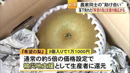 仲間の支えで一歩前へ　震度7を耐えた氷川町の吉野梨　“希望の梨”で広がる支援【令和８年熊本地震】