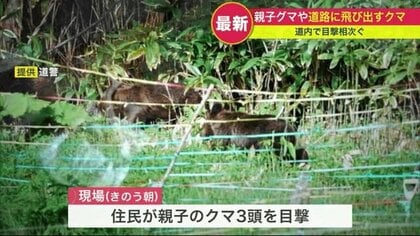北海道でクマ出没相次ぐ…車と衝突したクマ すぐに起き上がり姿消す