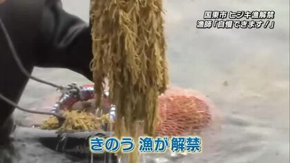 県内有数の天然のヒジキの産地　国見町で漁解禁　漁師も太鼓判「いい味がする、日本一」大分県国東市