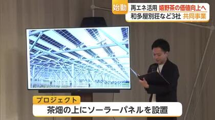 茶畑の上にソーラーパネル　嬉野茶を“高付加価値”へ新プロジェクト始動【佐賀県】