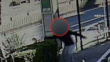 逃走の37歳男は2人死亡事故後に盗難車のカギ植え込みに投げ捨て…ひき逃げに巻き込まれた男性「免許取得止めた」　東京・足立区