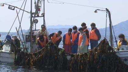 中学生がワカメの収穫体験　特産品の生産者に感謝　岩手県宮古市