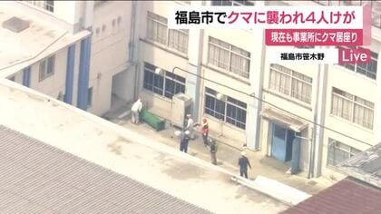 福島市で従業員や住民4人が熊に襲われケガ　事業所にクマ居座る　近くの小中学校は臨時休校　警戒続く　
