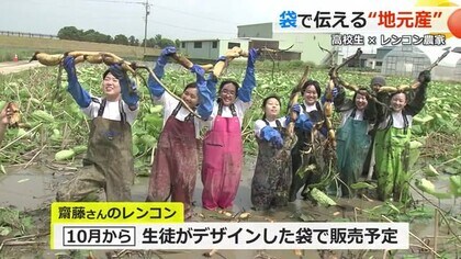 「あわられんこん」の魅力発信へ　農家が高校生とタッグ組み“若者視点”でパッケージを作成　10月に販売開始　【福井】　