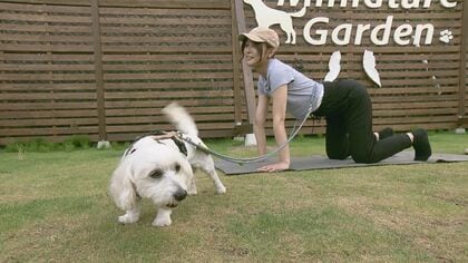 天然芝の上でのびのび！きっかけは飼い主や犬同士のトラブル回避　貸し切り型「ドッグラン」開設 【島根発】