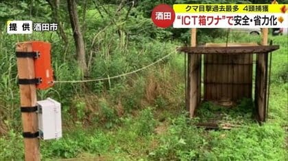 体長約50cmのクマが小学校のグラウンドに！ 目撃情報減らず