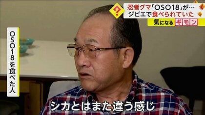 忍者グマ”OSO18が味噌煮込みに 駆除後 釧路や日本橋の飲食店で提供されていた 味は「やわらかくておいしい」｜FNNプライムオンライン