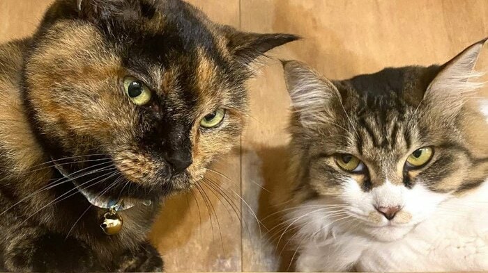 左：なつめちゃん　右：あおいちゃん