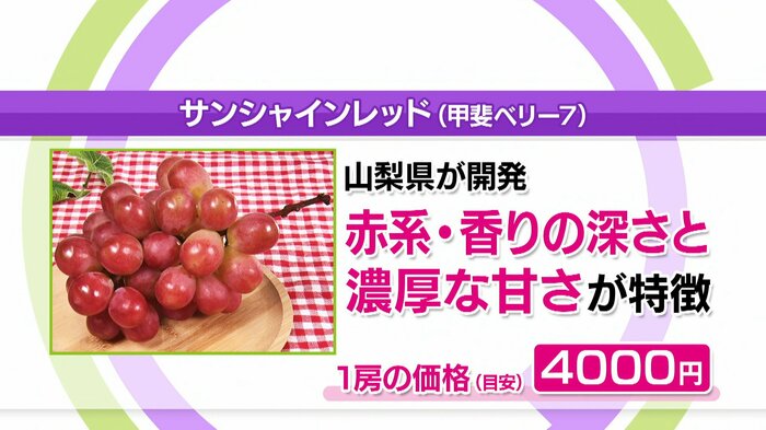「サンシャインレッド(甲斐ベリー7)」1房の価格(目安)4000円