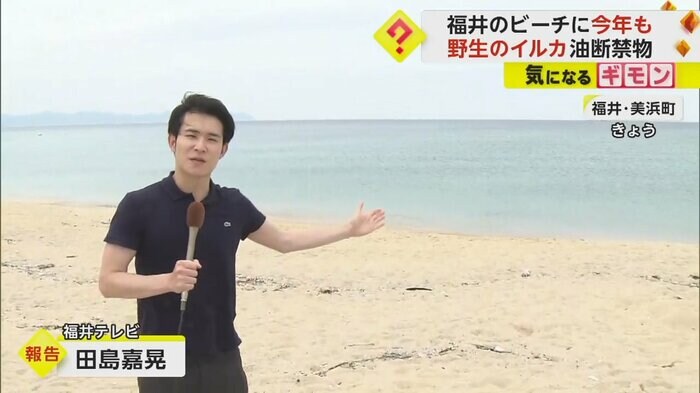 27日、福井県美浜町のビーチの様子