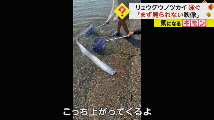 (FNN投稿サイト「ビデオPost」)