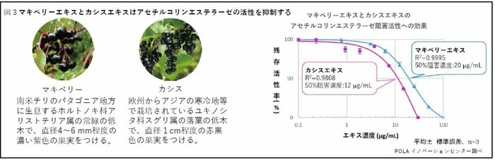 (画像提供:ポーラ)