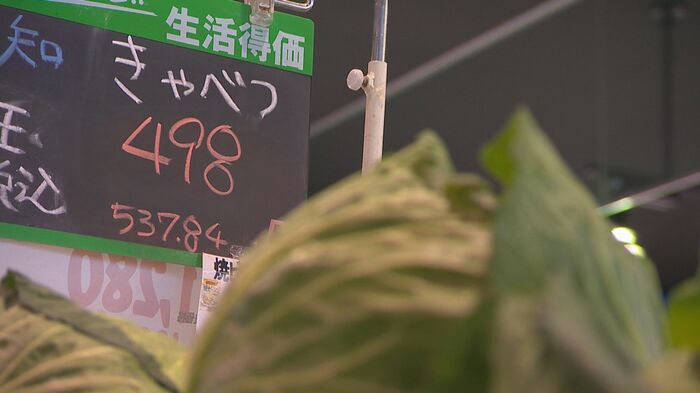 キャベツひと玉500円超