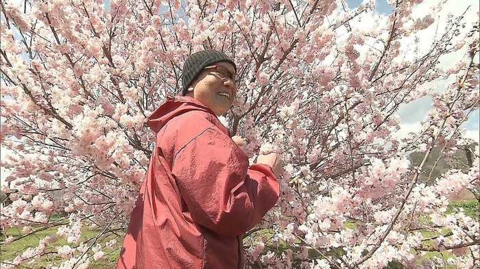 春を告げる早咲き桜「春めき」を前に微笑む